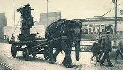 «Исторические мифы» и Другая реальность