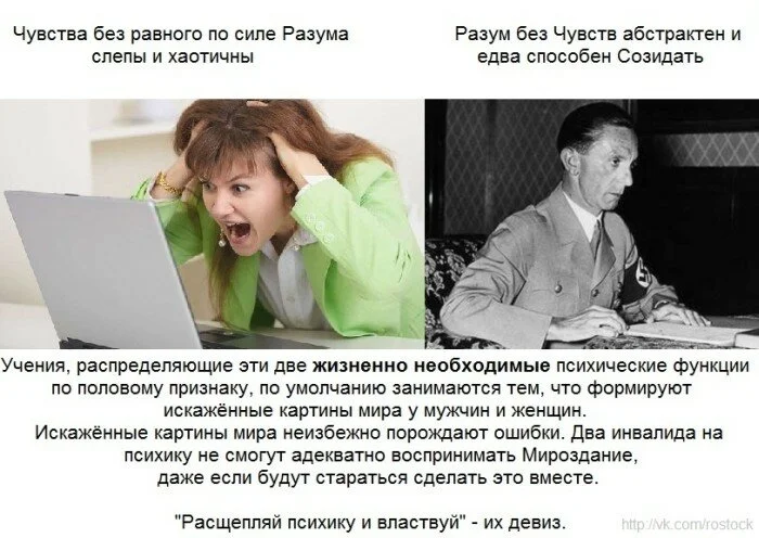 chuvstva razum