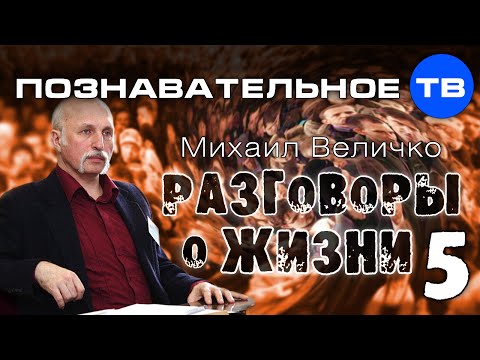 Видео на YouTube