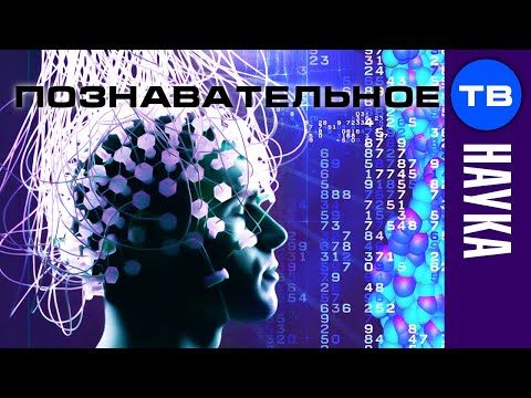 Видео на YouTube