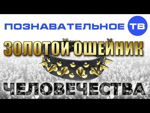 Видео на YouTube